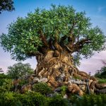 Indiana Jones attraction at Disney’s Animal Kingdom enters major construction phase