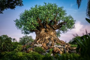 Indiana Jones attraction at Disney’s Animal Kingdom enters major construction phase